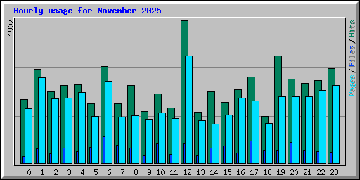 Hourly usage for November 2025