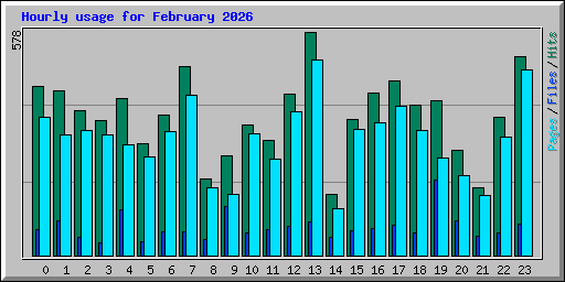 Hourly usage for February 2026